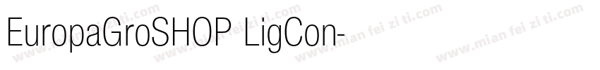EuropaGroSHOP LigCon字体转换